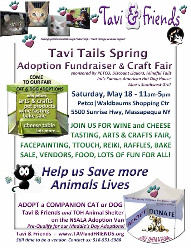 Flyers/TaviTailsFlyer-May18.jpg