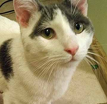 Pictures/Oliver1.jpg