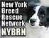 webassets/NYBRN.jpg
