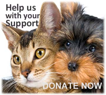 webassets/donate.jpg