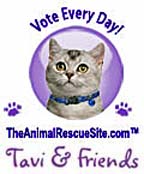 webassets/rescuechallenge2012.jpg